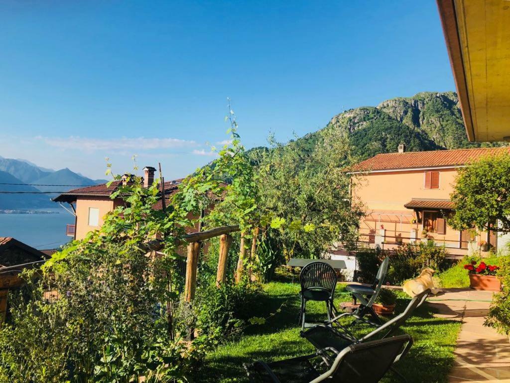 Agriturismo Botton D'Oro Dongo Extérieur photo
